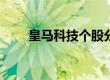 皇马科技个股分析（皇马科技财报）