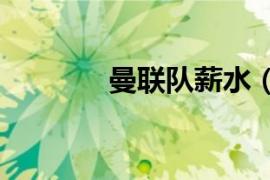 曼联队薪水（曼联薪水排名）