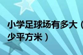 小学足球场有多大（小学足球场标准面积是多少平方米）