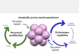 团队综述膦配体诱导的金属纳米团簇结构转变