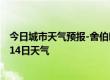 今日城市天气预报-舍伯吐天气预报通辽舍伯吐2024年07月14日天气