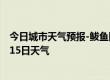 今日城市天气预报-鲅鱼圈天气预报营口鲅鱼圈2024年07月15日天气