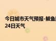 今日城市天气预报-鲅鱼圈天气预报营口鲅鱼圈2024年07月24日天气