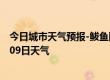 今日城市天气预报-鲅鱼圈天气预报营口鲅鱼圈2024年08月09日天气