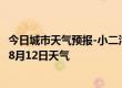 今日城市天气预报-小二沟天气预报呼伦贝尔小二沟2024年08月12日天气