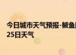 今日城市天气预报-鲅鱼圈天气预报营口鲅鱼圈2024年09月25日天气